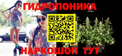 соль ск Шахты