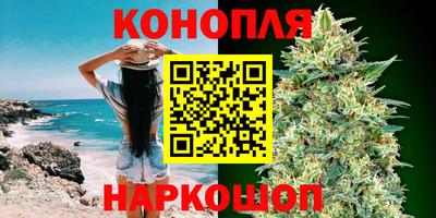 бошки Шебекино