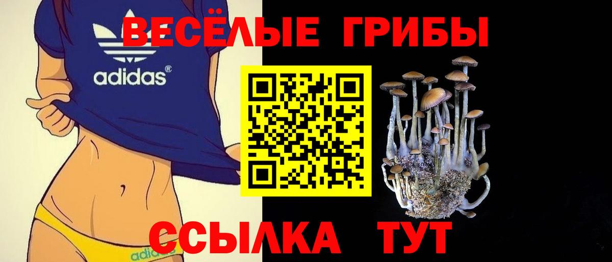 продажа наркотиков  Вход с VPN  Благодарный  Галлюциногенные грибы ЛСД 