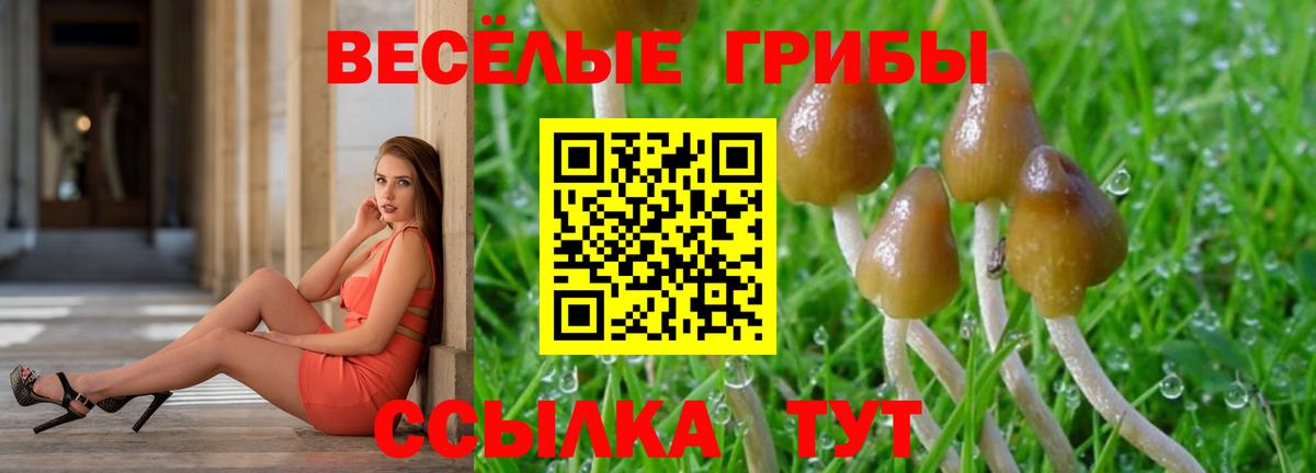 Псилоцибиновые грибы MAGIC MUSHROOMS Благодарный